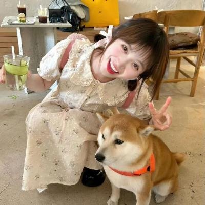 金车美人
