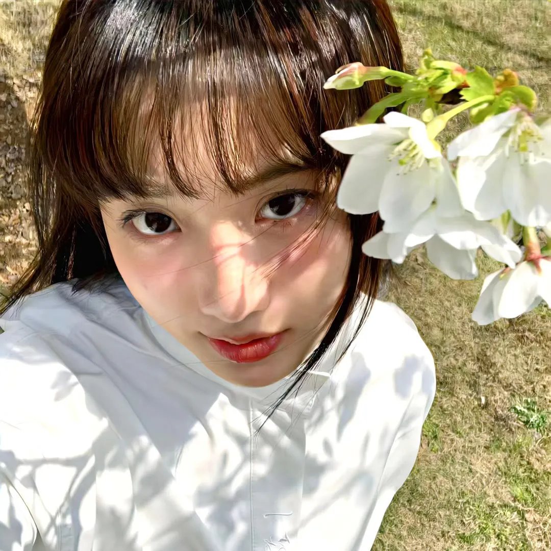 陀枪师姐3粤语
